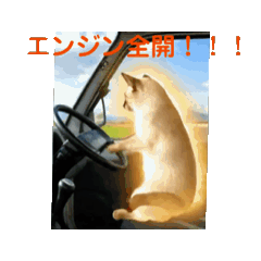 お酒とネコ好きな日常会話86