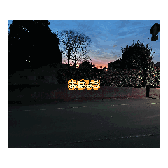 sugar_20260126205125