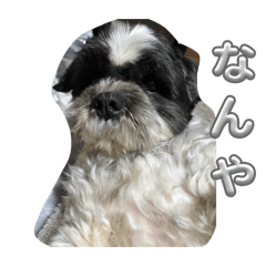 Linux_20260126195345