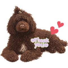 haruna_20260126132310