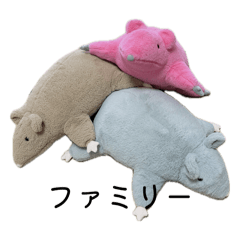 Meeeee_20260124091012