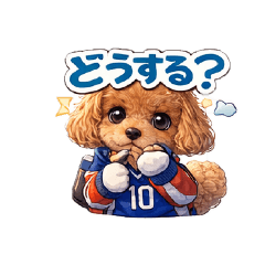 edomaru_20260125001443