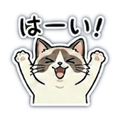 Ragdoll Cat Daily Stickers