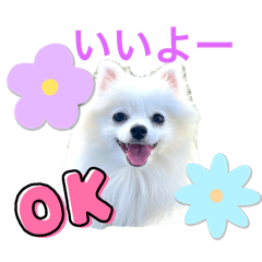 Honey_20260126182952