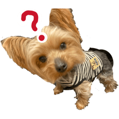 Seven_20260126222253