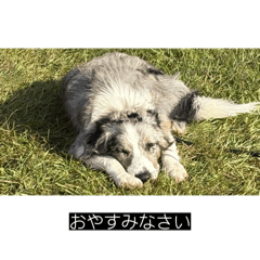 itostamp_20260127005016