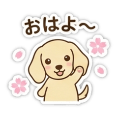 Sachi_20260127011400