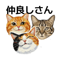 taroo_20260127005802