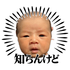 juri aoki_20260127013558