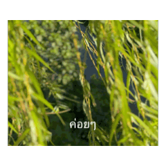 ค่อยๆ อยู่ตรงนี้