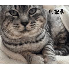 kumi0714_20260126230343