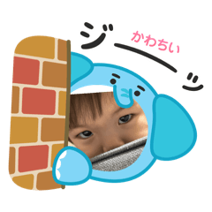 syuukaa_20260126230632