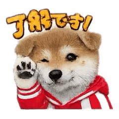 Naoki7070_20260126115322