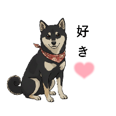 katoneko_20260126115543