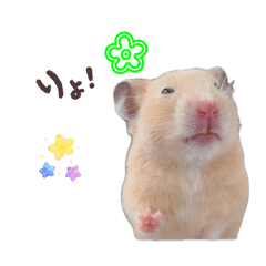 Kiseki_20260126172527