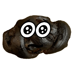 catcat_20260126174123