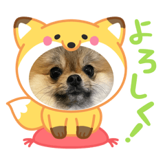 pomepome shizuku_20260126174710