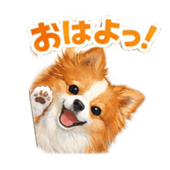 tsumu_20260126154758