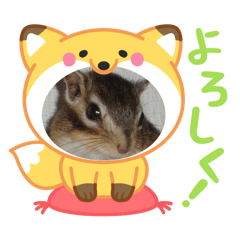 AICHAN_20260126154055