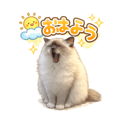 mune_20260126191130