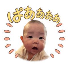 Shimama_20260127031243
