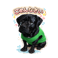 TAIGA_20260126135923