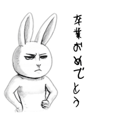 yamashikanai_20260126141143