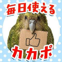 Easy to use! Real Kakapo Stickers