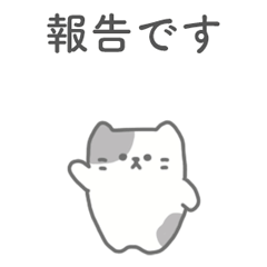 Cat Report Contact Consult