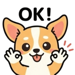 Healing Chi-chan the Chihuah