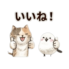 Best Buddies: Cat x Shimaenaga