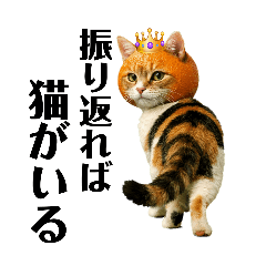 Tsubakuro_20260126130207