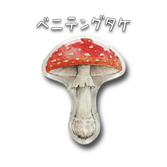 sakupan_20260126131157