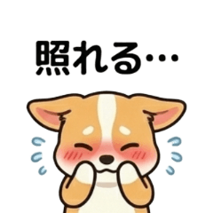 Chi-chan Chihuahua: Winter Edition