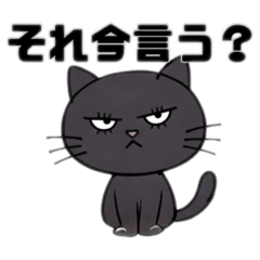 Salty Black Cat Stickers
