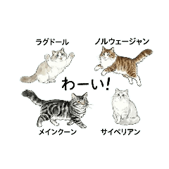 Fluffy Quartet: 4 Long-Haired Cats