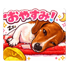 butaman_20260126221350