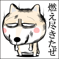 イヌに転生した猫 3