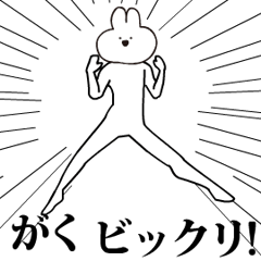 Rabbit Name GAKU.moves!