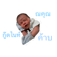 Nichapha_20260126144350