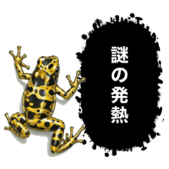 Hyakushiki_20260126145506