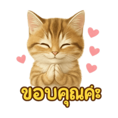 Eva Gallery_20260126152954