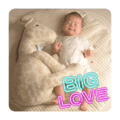 ray-c_20260126200314