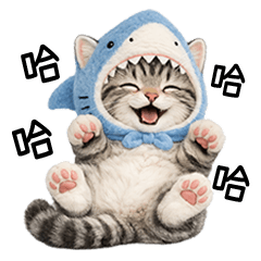 little tabby cute cat shark head [TW]