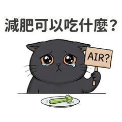 貓貓今天你想吃什麼?