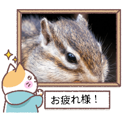 runa_20260126171856