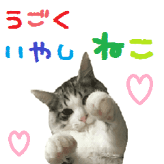 動く 癒し猫 日常会話v Line スタンプ Line Store