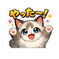 aoi_stamp_20260126233855