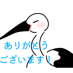 pinopisu_20260126234040