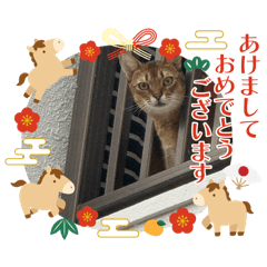 seven_20260126233657